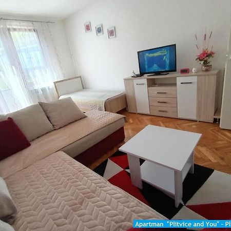 Apartman "Plitvice And You" Plitvička Jezera Kültér fotó