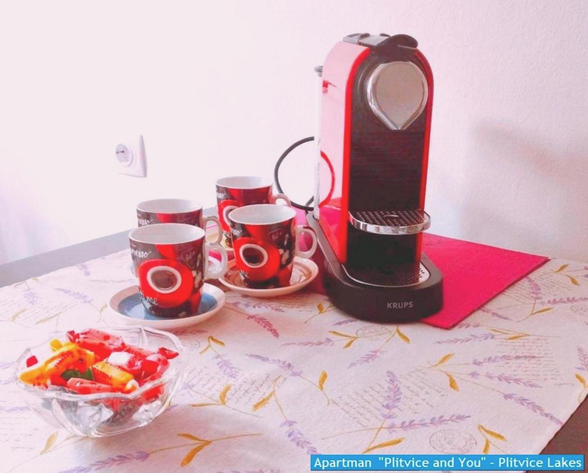 Apartman "Plitvice And You" Plitvička Jezera Kültér fotó